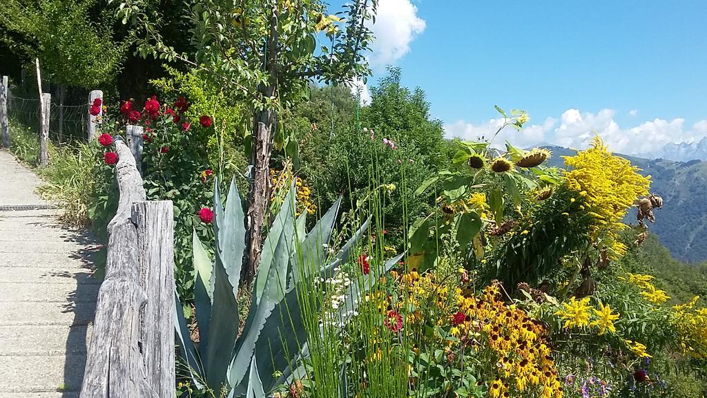 Agriturismo Zertin Gravedona Luaran gambar